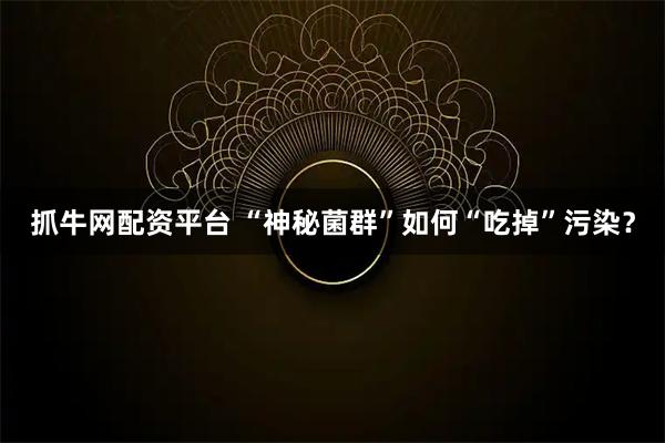抓牛网配资平台 “神秘菌群”如何“吃掉”污染？