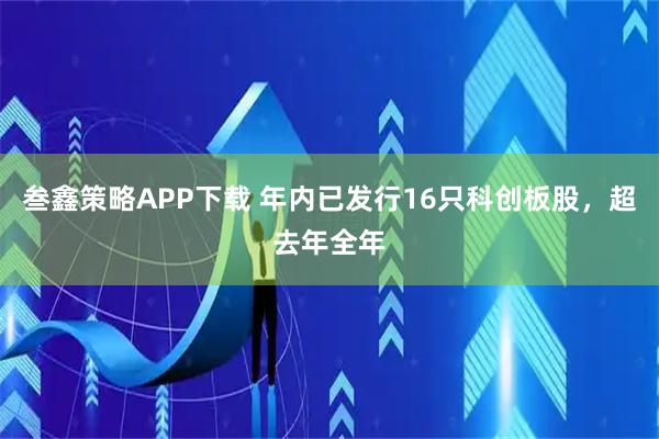 叁鑫策略APP下载 年内已发行16只科创板股,超去年全年