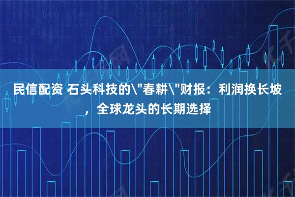 民信配资 石头科技的