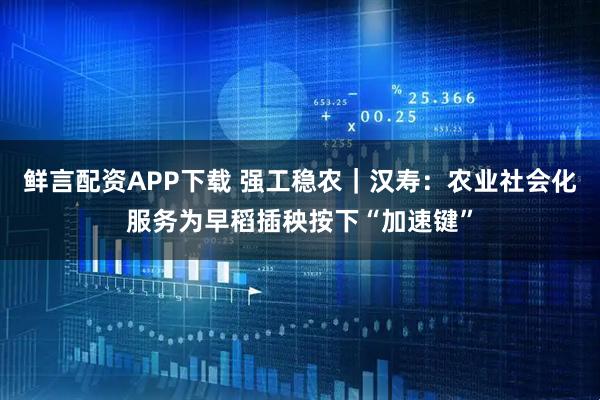 鲜言配资APP下载 强工稳农｜汉寿：农业社会化服务为早稻插秧按下“加速键”